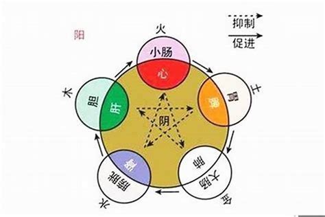 张 五行|张字的五行属性